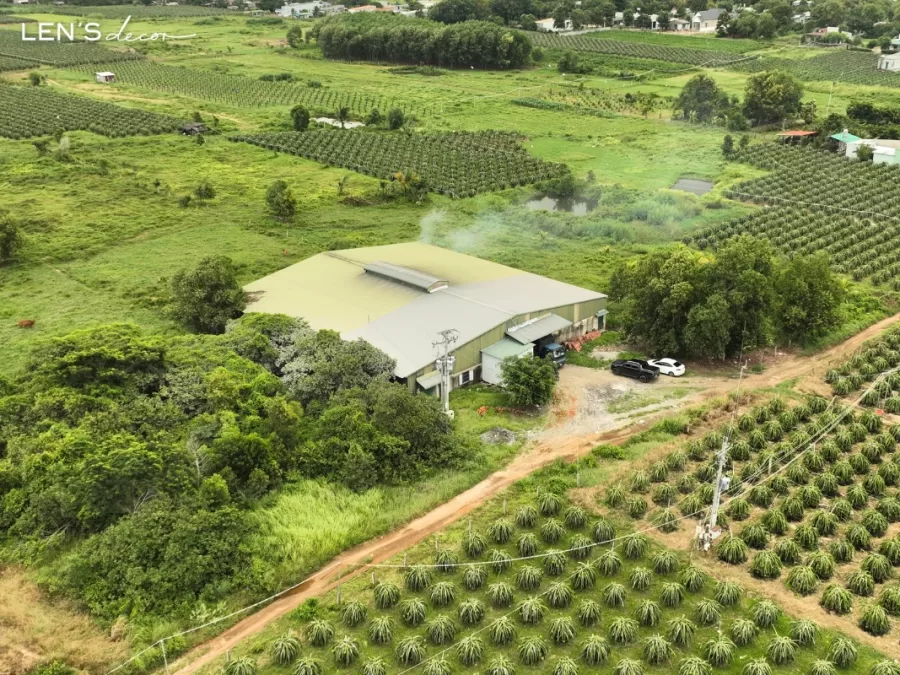 Xưởng nội thất quy mô ấn tượng giữa thiên nhiên Bình Thuận