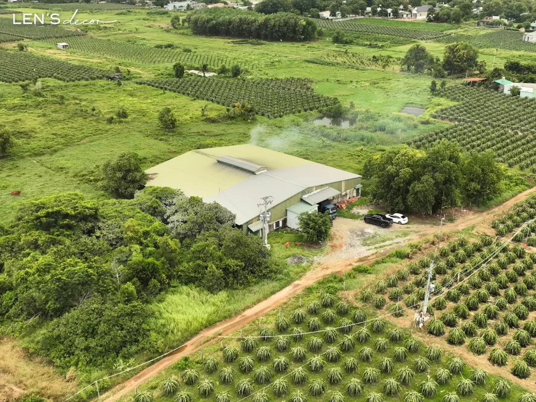 Xưởng nội thất quy mô ấn tượng giữa thiên nhiên Bình Thuận